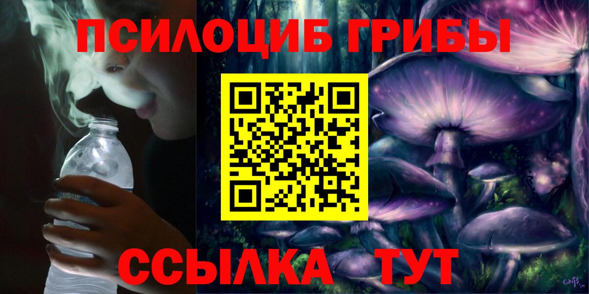 Псилоцибиновые грибы Cubensis  Вход с VPN  Псилоцибиновые грибы Psilocybine cubensis  Великие Луки 