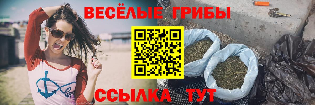 Галлюциногенные грибы прущие грибы Великие Луки